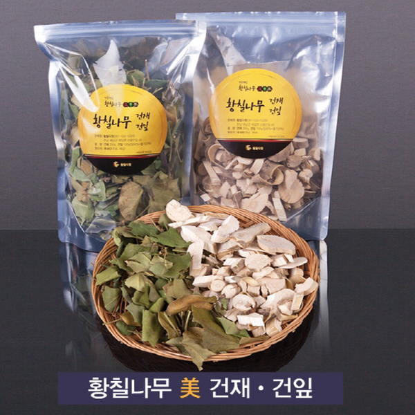 황칠나무 건재 300g