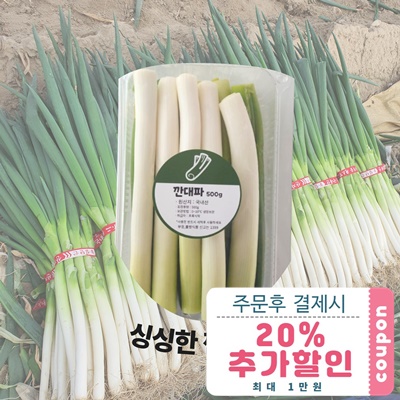 깐대파 1kg(500g*2개)