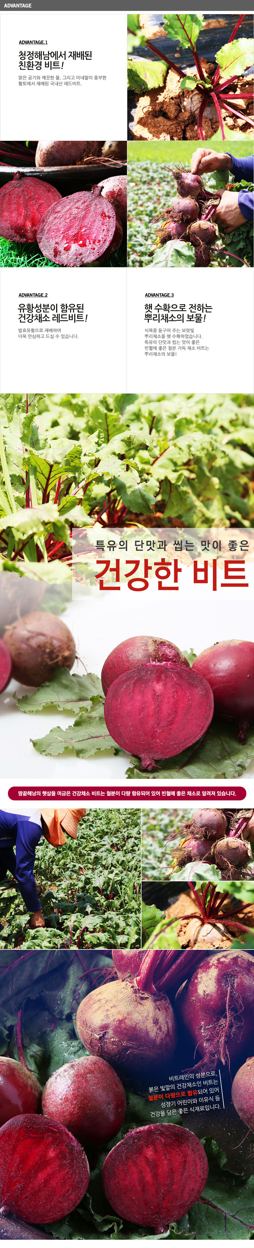 아스파라거스 1kg