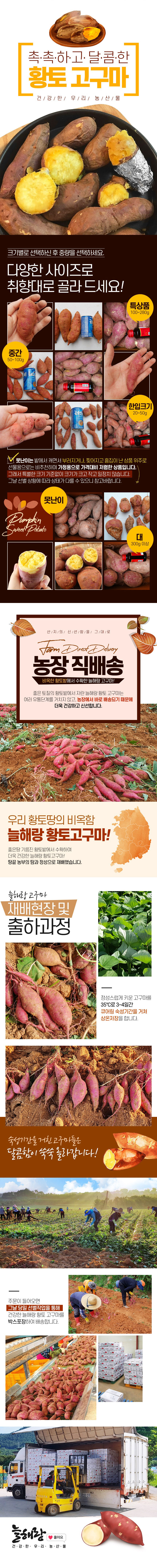 깐대파 1kg(500g*2개)