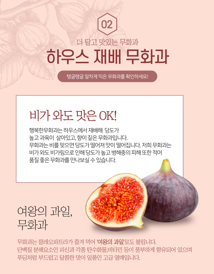 흑마늘 조청 370g